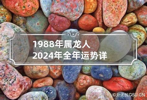 2024年龙年|2024年龙人运势及运程 2024年属龙的全年运势